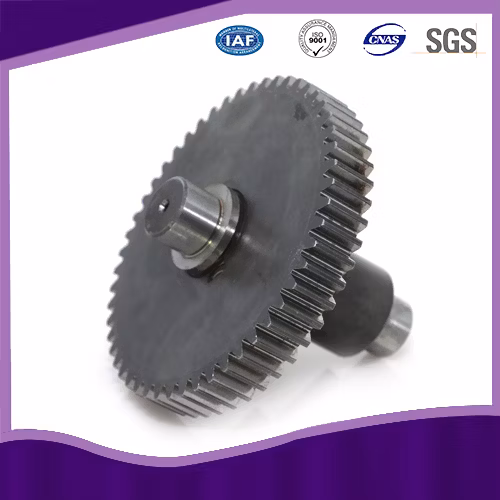 Riduttore a vite senza fine di precisione con certificato SGS