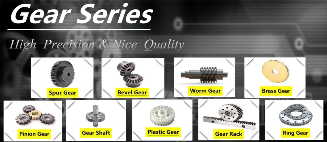 Custom OEM Quality Precision Parts Worm Gear Parts