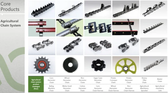 Catene di trasporto hardware standard con piastre laterali diritte, catena a rulli industriali di precisione